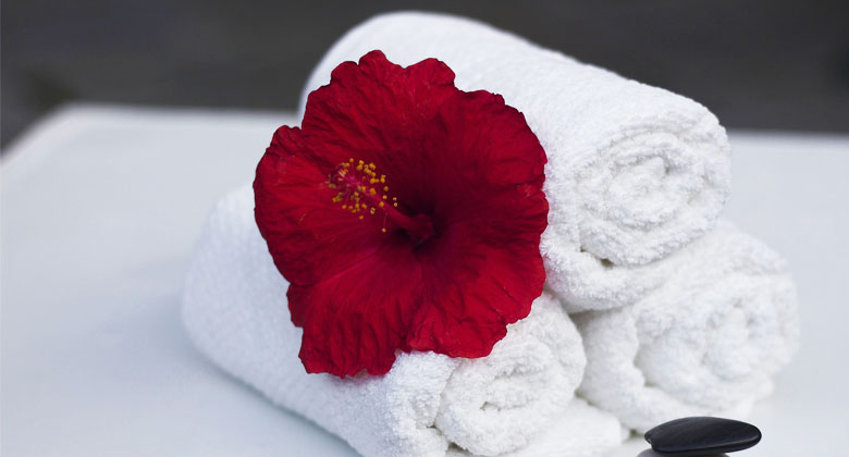 Accessories for rolled towels